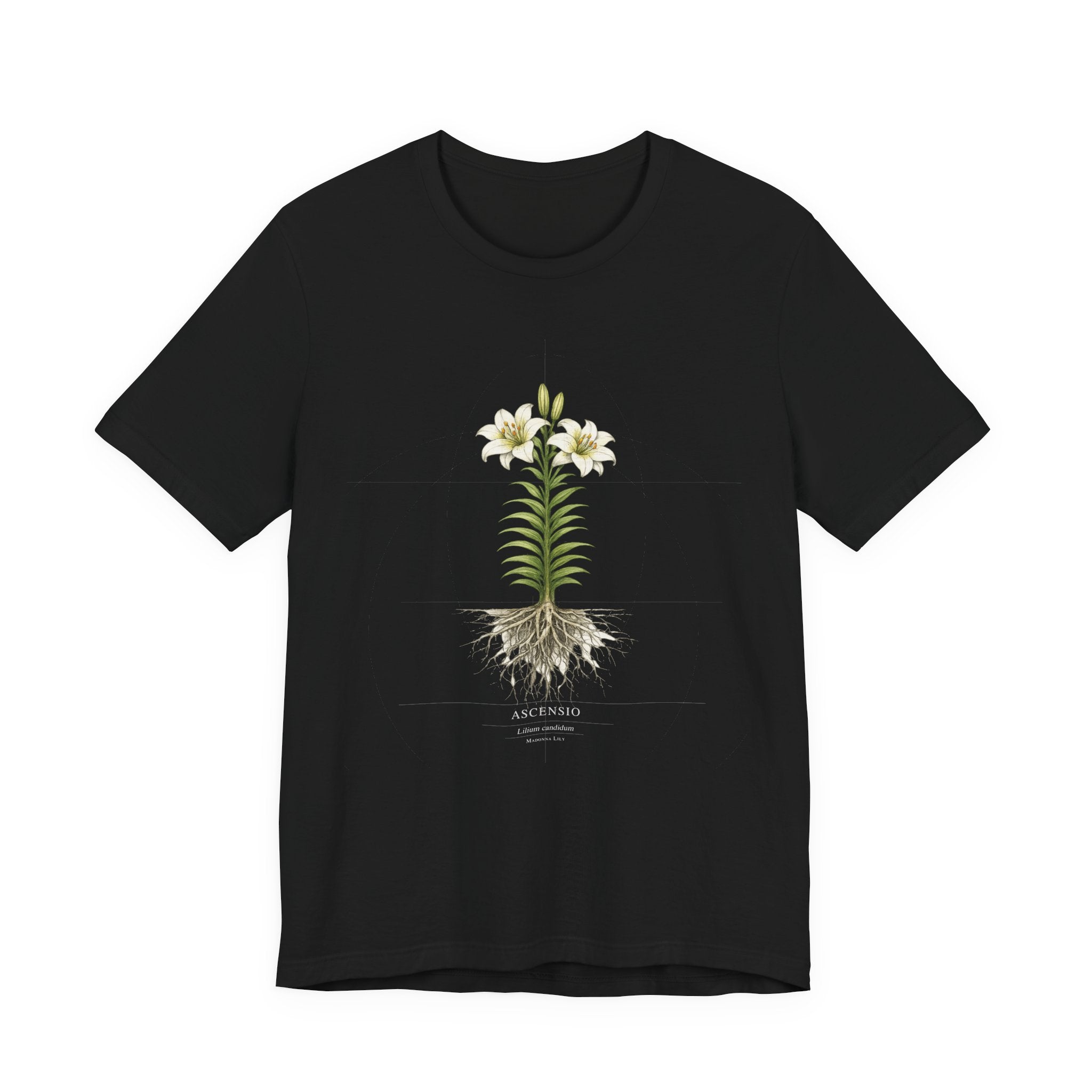 Ascensio Lilium candidum, Madonna Lily,  botanical blueprint t-shirt on black