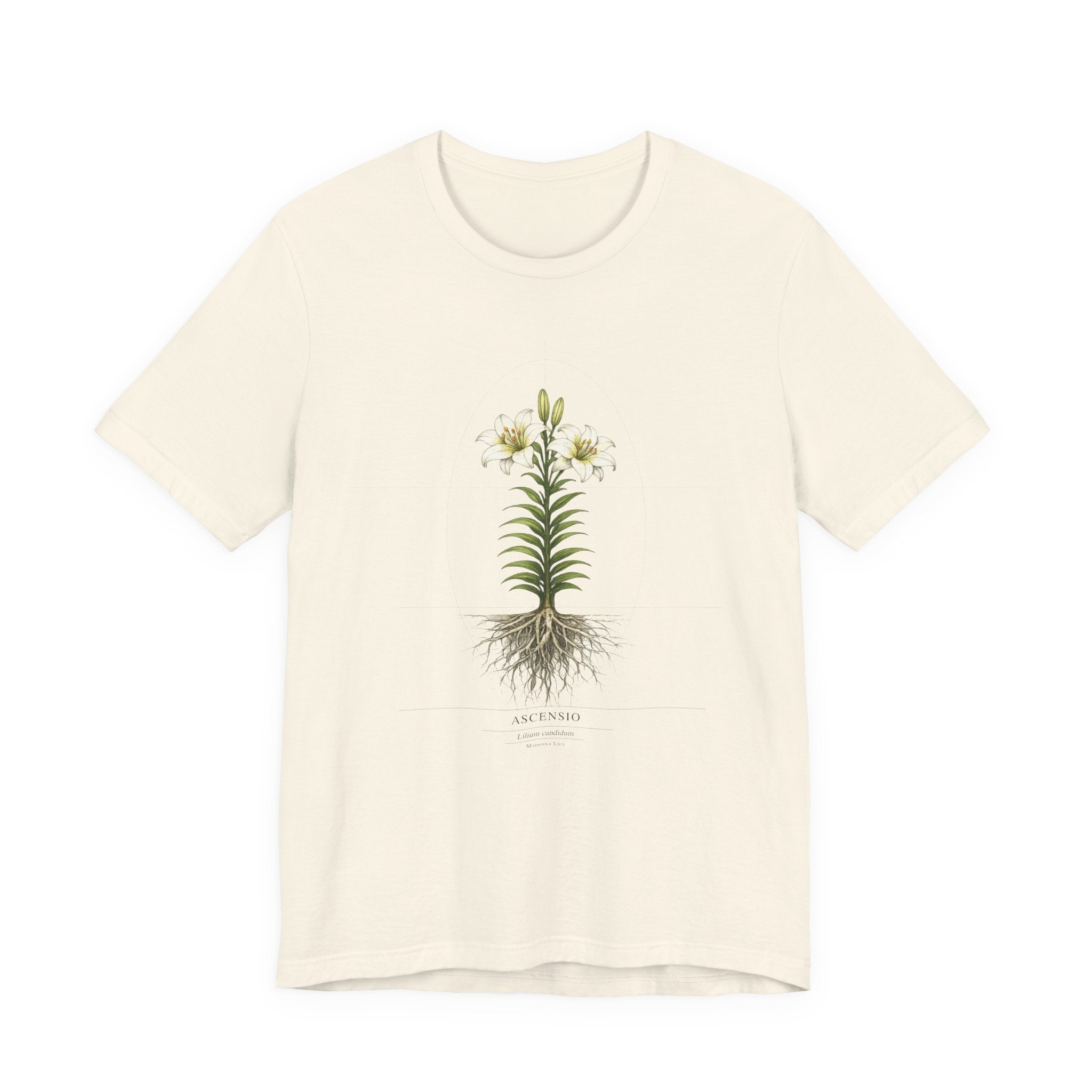 Ascensio Lilium candidum, Madonna Lily,  botanical blueprint t-shirt on natural/bone