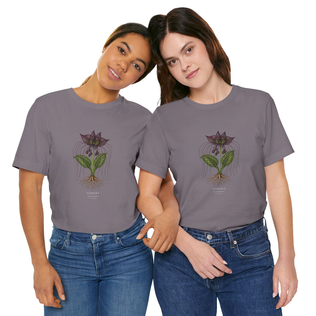 Botanical Blueprint: Bat Flower — Vespera