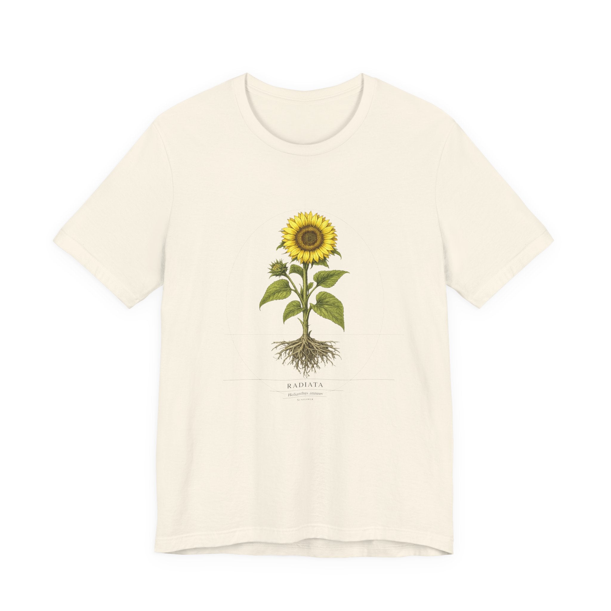 Radiata Helianthus annuus, Sunflower,  botanical blueprint t-shirt on natural/bone