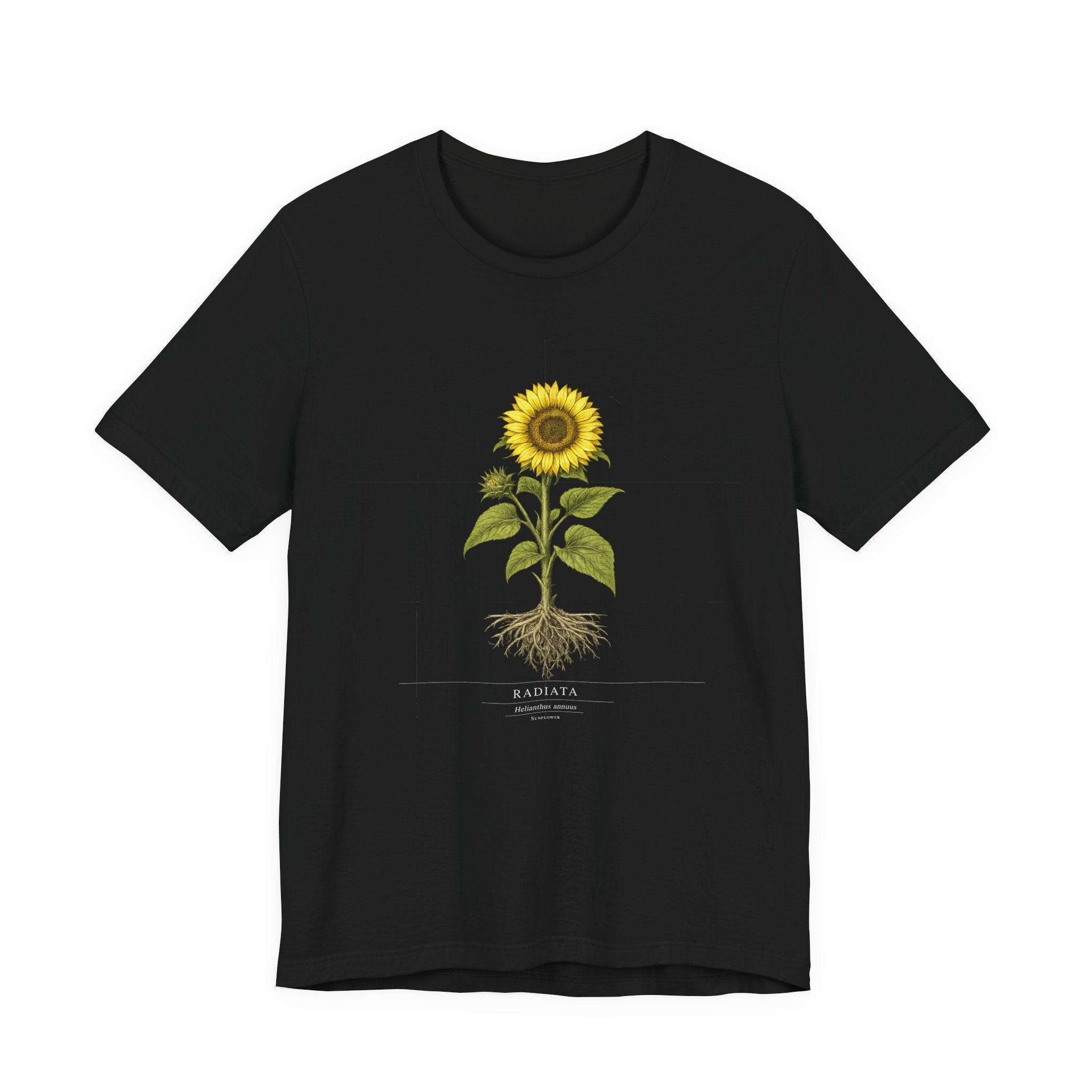 Radiata Helianthus annuus, Sunflower,  botanical blueprint t-shirt on black