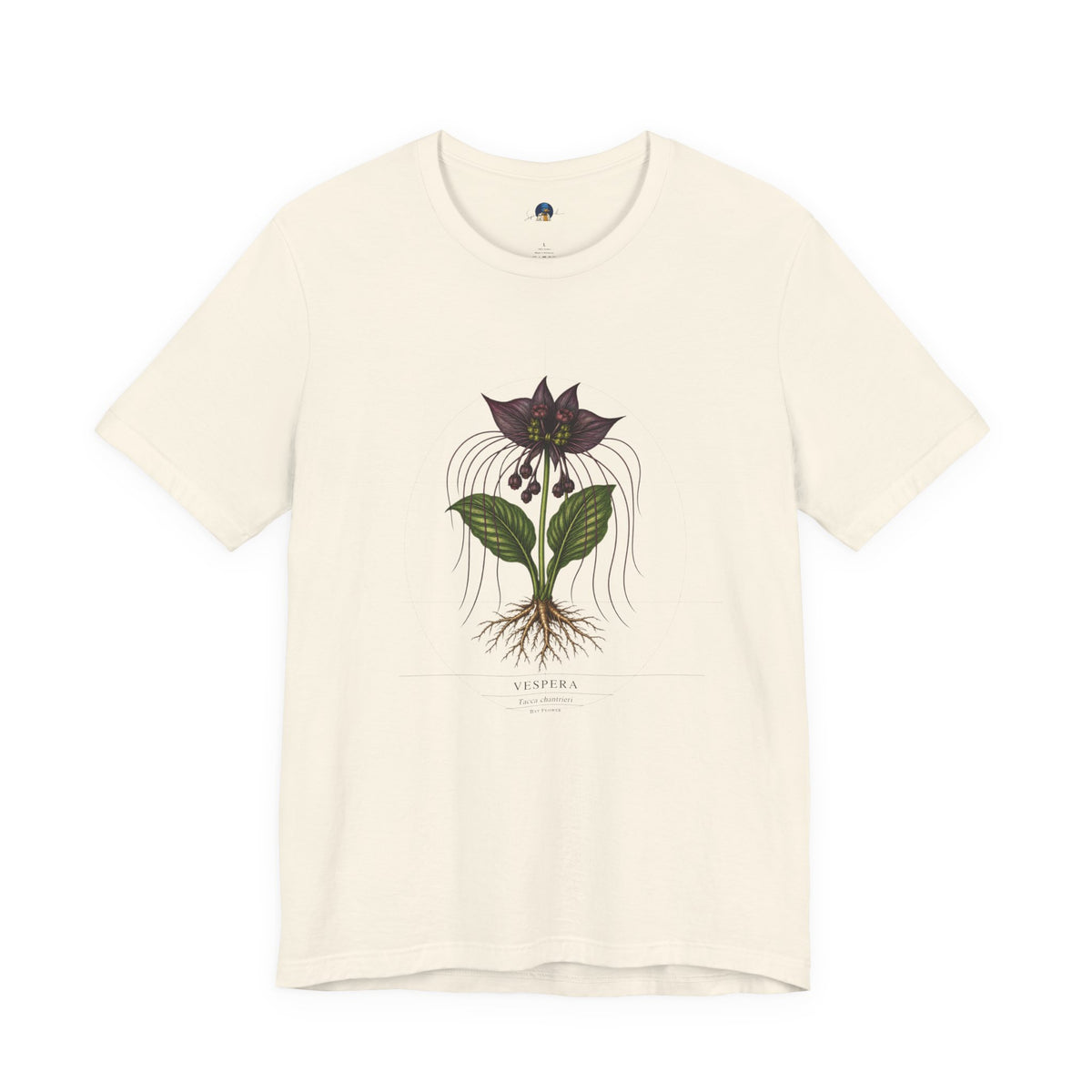 Botanical Blueprint: Bat Flower — Vespera